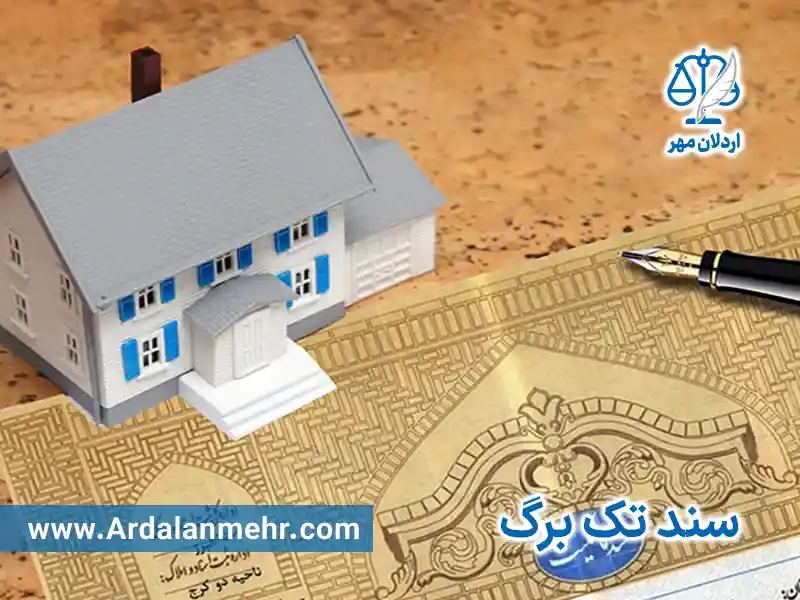 سند تک برگ